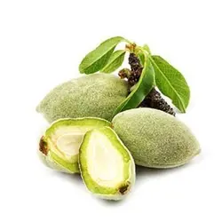 چغاله بادام  -۰٫۵کیلو گرم ۲۳۰۱۴۲۱