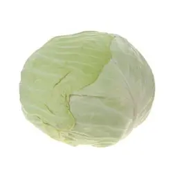 کلم سفید ۱ کیلو گرمی ۲۳۰۱۱۶۳