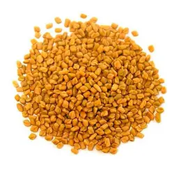 شنبلیله بذر100 گرم 2302502