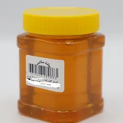 عسل گون 520 گرم فله 2201707005208