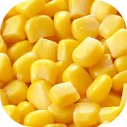ذرت اعلا 500 گرم 2301045