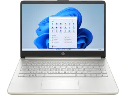 لپ تاپ HP 255-G8 R5 5500U 8 512 Vega 7