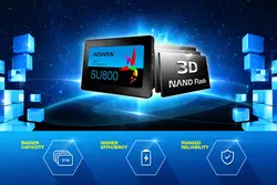 اس اس دی ای دیتا مدل ADATA SU800 ظرفیت 256 گیگابایت