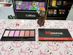 پالت رژگونه مورف MORPHE مدل ۶ تایی