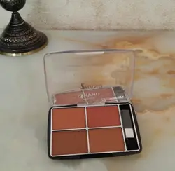 رژگونه 4تایی نانو