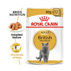 غذای پوچ گربه بریتیش رویال کنین – Royal Canin British Pouches