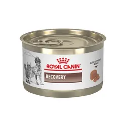 کنسرو ریکاوری سگ و گربه رویال کنین – Royal Canin Recovery Wet