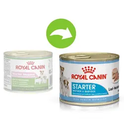 کنسرو استارتر مادر و توله سگ رویال کنین – Royal Canin Starter Mousse