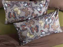 روبالشی انگلیش هوم طرح Papilions بسته 2 عددی