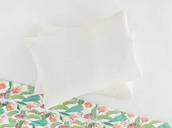 روبالشی انگلیش هوم طرح Exotic بسته 2 عددی