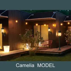 دیواری کاملیا