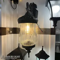 دیواری کاملیا