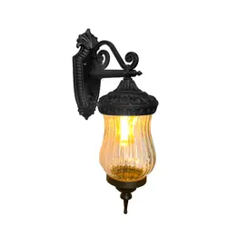 دیواری کاملیا