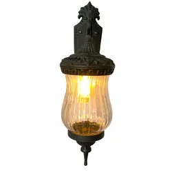 دیواری کاملیا