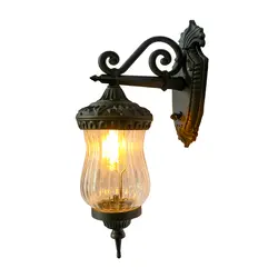 دیواری کاملیا