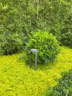 چمنی مدرن کارولین بلند