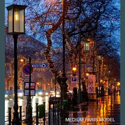 چمنی مدرن پاریس متوسط