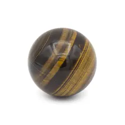 گوی چشم ببر