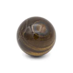 گوی چشم ببر