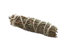 اسماج مریم گلی و کندر