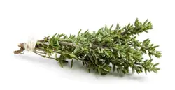 عسل آویشن ارگانیک اورازان