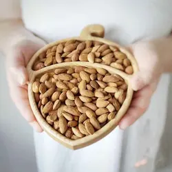 اردو خوری 2 خانه طرح بلوط