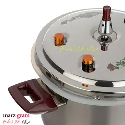 زودپز دسته دار تفال 7 لیتر Tefal 7 L inox