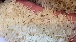 برنج پاکستانی 1121 سوپر کرنل عالی کیسه آبی ده کیلوگرم