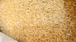 برنج پاکستانی 1121 سوپر کرنل عالی کیسه آبی ده کیلوگرم