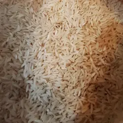 برنج طارم محلی فریدونکنار کیسه ده کیلوگرمی