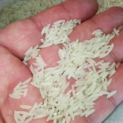 برنج پاکستانی دایانا کیسه ده کیلوگرمی