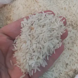 برنج پاکستانی کشتی نشان کیسه ده کیلوگرمی