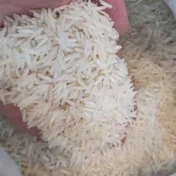 برنج پاکستانی دانه بلند زیتون طلایی کیسه ده کیلوگرمی