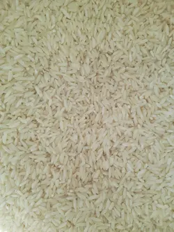 برنج لاشه دار پنج ستاره طارم امراللهی 10کیلوگرم