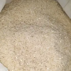 برنج لاشه دار پنج ستاره طارم امراللهی 10کیلوگرم