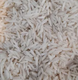 برنج ایرانی ستاره گلستان مشهدبرنج کیسه ده کیلوگرم