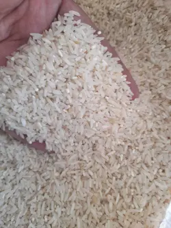 برنج سرلاشه معطر خوشپخت  - ده کیلویی