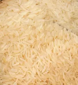 برنج هندی البرز کیسه ده کیلوگرم