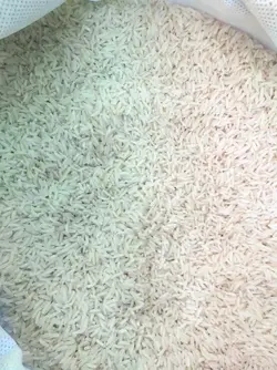 برنج پاکستانی پیشگام کیسه ده کیلوگرم