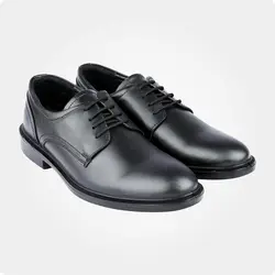 کفش رسمی مردانه بیرشاد کد 13197888
