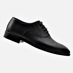 کفش رسمی مردانه زانیس پلاس کد 13188712