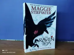 The Raven Boys by Maggie Stiefvater