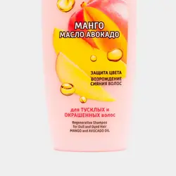 شامپو احیا برای مو رنگ شده و کدر فروت تراپی حجم 515 میلی لیتر