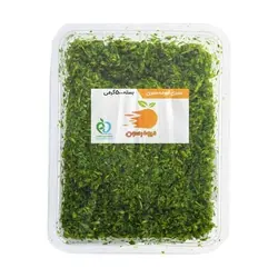 سبزی قورمه سبزی