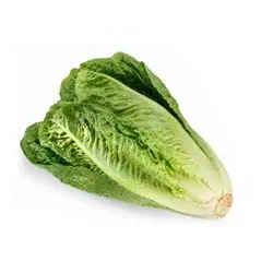کاهو