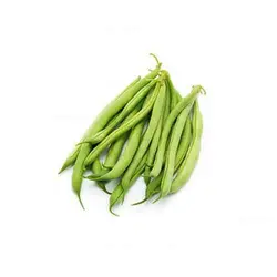 لوبیا سبز تازه