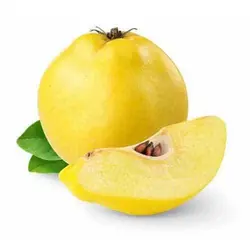 به ممتاز بسته (دو عددی)