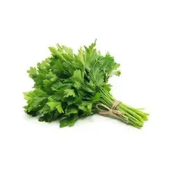 جعفری تازه