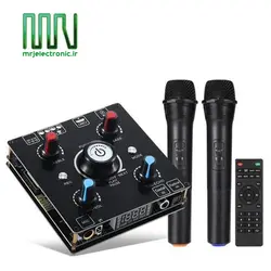 ماژول اکو آمپلی فایر 100 وات AMP-2206