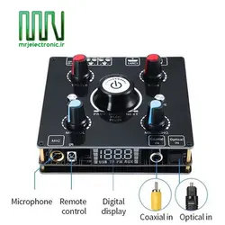 ماژول اکو آمپلی فایر 100 وات AMP-2206